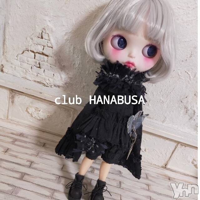 ܥХ顦Entertainment Club HANABUSA(󥿡ƥȥ֡ϥʥ֥) 2023ǯ317̥֥( ❛ ֊ ❛„)
