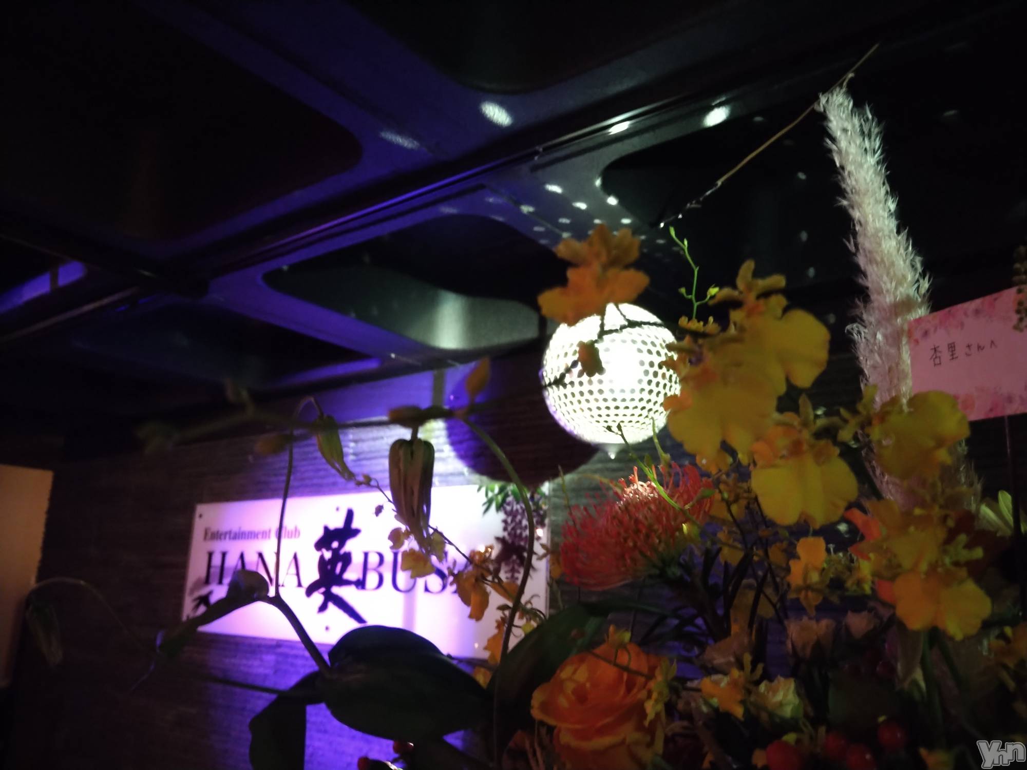 ���ܥ���Х��顦�����Entertainment Club HANA��BUSA(���󥿡��ƥ����ȥ���֡��ϥʥ֥�) ��2023ǯ9��9���̥�֥�����11th Anniversary��❀✿��