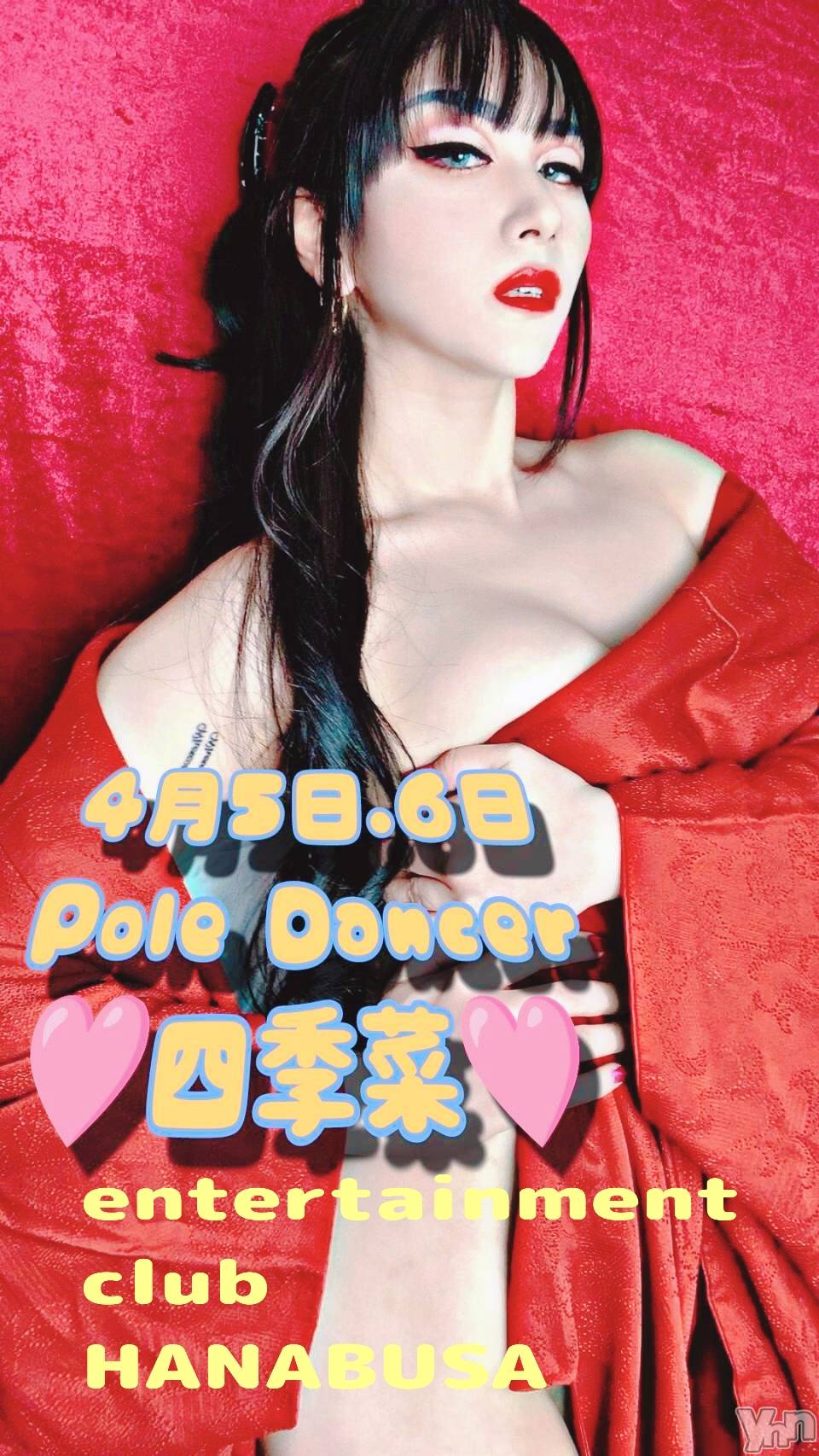 ���ܥ���Х��顦�����Entertainment Club HANA��BUSA(���󥿡��ƥ����ȥ���֡��ϥʥ֥�) ��2024ǯ4��1���̥�֥����֢�̊̈��̆̈��