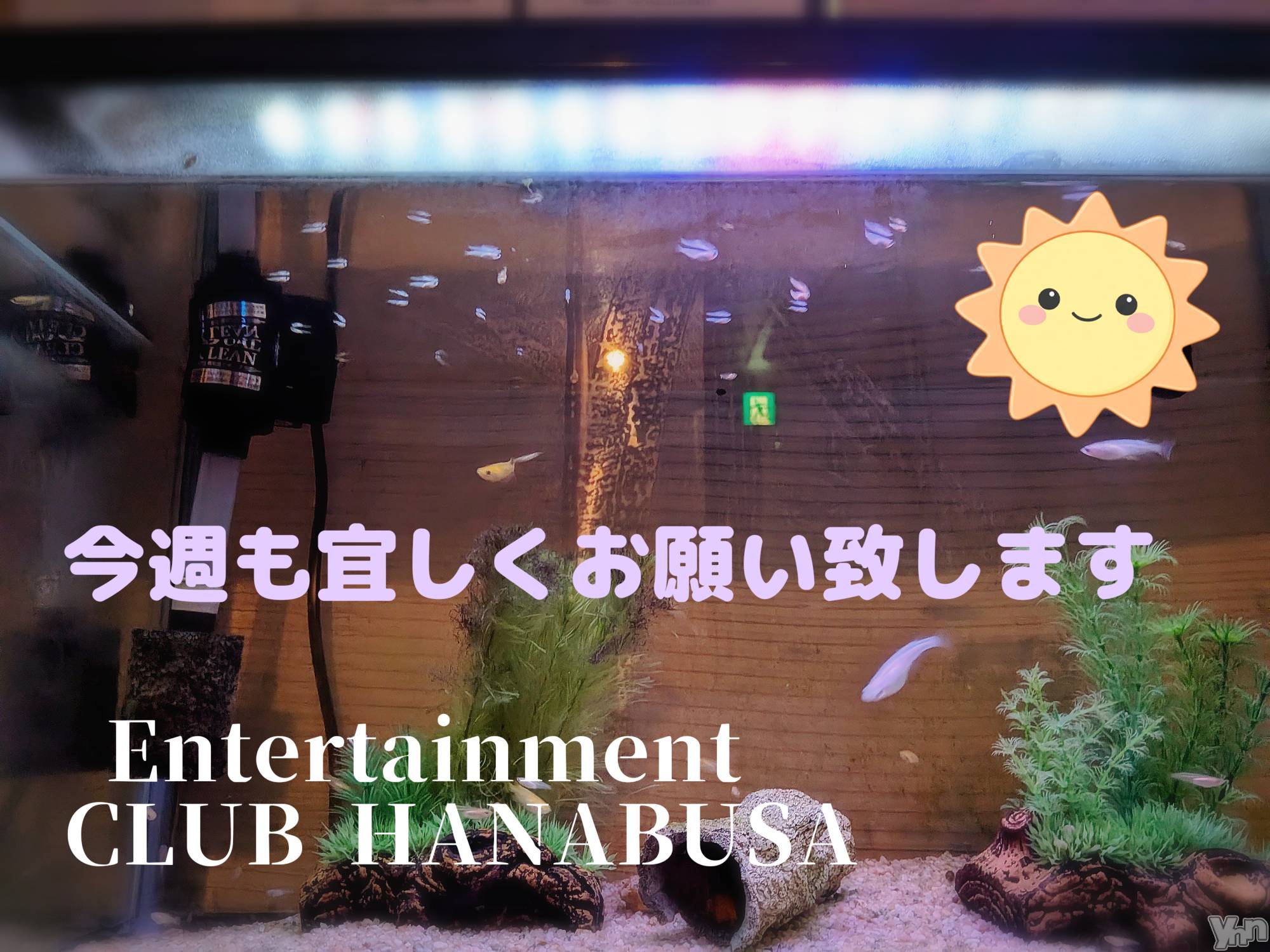 ���ܥ���Х��顦�����Entertainment Club HANA��BUSA(���󥿡��ƥ����ȥ���֡��ϥʥ֥�) ��2026ǯ7��27���̥�֥�����(๑❛ᴗ❛๑)❁��