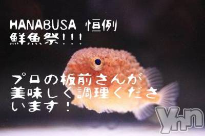 ���ܥ���Х��顦�����Entertainment Club HANA��BUSA(���󥿡��ƥ����ȥ���֡��ϥʥ֥�) ��Τ��4��27���̥�֥�����!!!!!��