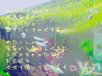 ���ܥ���Х��顦�����Entertainment Club HANA��BUSA(���󥿡��ƥ����ȥ���֡��ϥʥ֥�) ��Τ��10��4���̥�֥�����(❁ᴗ͈ˬᴗ͈)⁾⁾⁾��