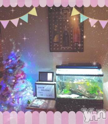 ���ܥ���Х��顦�����Entertainment Club HANA��BUSA(���󥿡��ƥ����ȥ���֡��ϥʥ֥�) ��Τ��12��5���̥�֥�����*◌. .̣̣̣ .̣̣̣ ̣̣̣✧﹢��✧◌ॢۛ ��