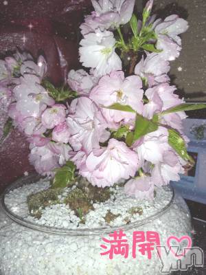 ���ܥ���Х��顦�����Entertainment Club HANA��BUSA(���󥿡��ƥ����ȥ���֡��ϥʥ֥�) ��Τ��4��10���̥�֥�����❀❀❀��