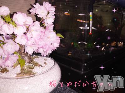 ���ܥ���Х��顦�����Entertainment Club HANA��BUSA(���󥿡��ƥ����ȥ���֡��ϥʥ֥�) ��Τ��4��11���̥�֥�����✿��