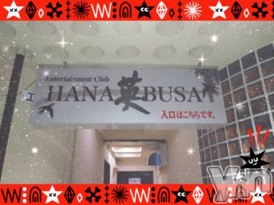 ���ܥ���Х��顦�����Entertainment Club HANA��BUSA(���󥿡��ƥ����ȥ���֡��ϥʥ֥�) ��Τ��4��23���̥�֥�����♬��