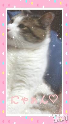 ���ܥ���Х��顦�����Entertainment Club HANA��BUSA(���󥿡��ƥ����ȥ���֡��ϥʥ֥�) ��Τ��4��24���̥�֥����ָĿ;��󡣡�