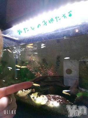 ���ܥ���Х��顦�����Entertainment Club HANA��BUSA(���󥿡��ƥ����ȥ���֡��ϥʥ֥�) ��Τ��5��15���̥�֥����֎���♡��