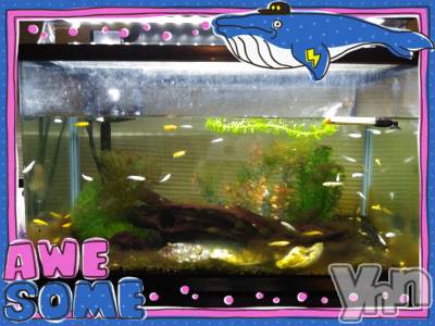 ���ܥ���Х��顦�����Entertainment Club HANA��BUSA(���󥿡��ƥ����ȥ���֡��ϥʥ֥�) ��Τ��7��18���̥�֥����֤����(&nbsp;���꒳​���ᐢ&nbsp;)��