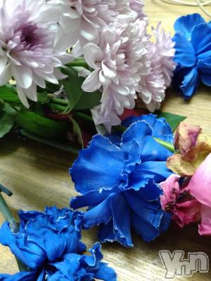 ���ܥ���Х��顦�����Entertainment Club HANA��BUSA(���󥿡��ƥ����ȥ���֡��ϥʥ֥�) ��Τ��11��15���̥�֥����֤��䤹�ߤʤ����ޤ�🌓��