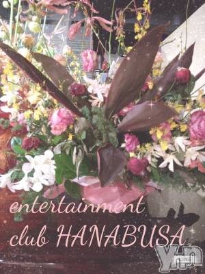 ���ܥ���Х��顦�����Entertainment Club HANA��BUSA(���󥿡��ƥ����ȥ���֡��ϥʥ֥�) ��Τ��12��17���̥�֥����֤��Ϥ褦�������ޤ�(��ิ�؎�ิ)��