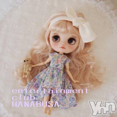 ���ܥ���Х��顦�����Entertainment Club HANA��BUSA(���󥿡��ƥ����ȥ���֡��ϥʥ֥�) ��Τ��11��17���̥�֥�����(◡  ◡)��