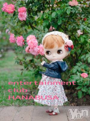 ���ܥ���Х��顦�����Entertainment Club HANA��BUSA(���󥿡��ƥ����ȥ���֡��ϥʥ֥�) ��Τ��11��24���̥�֥�����⚆ᴥ⚆��