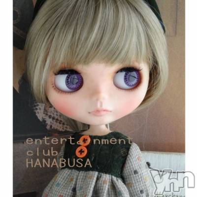 ���ܥ���Х��顦�����Entertainment Club HANA��BUSA(���󥿡��ƥ����ȥ���֡��ϥʥ֥�) ��Τ��12��2���̥�֥�����⁽⁽( • • )⁾⁾��