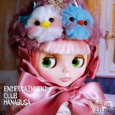 ���ܥ���Х��顦�����Entertainment Club HANA��BUSA(���󥿡��ƥ����ȥ���֡��ϥʥ֥�) ��Τ��3��28���̥�֥�����<(��)໒꒱ ��