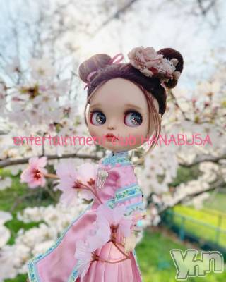 ���ܥ���Х��顦�����Entertainment Club HANA��BUSA(���󥿡��ƥ����ȥ���֡��ϥʥ֥�) ��Τ��3��30���̥�֥�����(*����`*)❀��