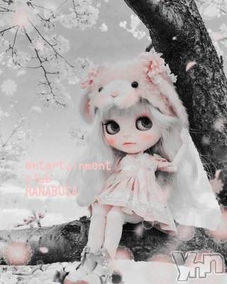 ���ܥ���Х��顦�����Entertainment Club HANA��BUSA(���󥿡��ƥ����ȥ���֡��ϥʥ֥�) ��Τ��4��2���̥�֥�����𖤣 ꕤ⠜( ꜆��̀௰��́ )��