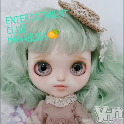 ���ܥ���Х��顦�����Entertainment Club HANA��BUSA(���󥿡��ƥ����ȥ���֡��ϥʥ֥�) ��Τ��4��14���̥�֥�����( ╹��╹ )��