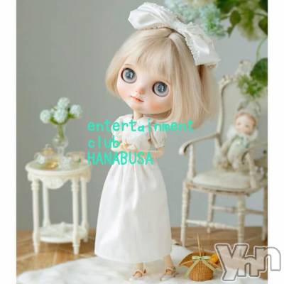 ���ܥ���Х��顦�����Entertainment Club HANA��BUSA(���󥿡��ƥ����ȥ���֡��ϥʥ֥�) ��Τ��10��2���̥�֥�����(⁠*⁠��⁠��⁠*⁠)��