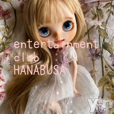���ܥ���Х��顦�����Entertainment Club HANA��BUSA(���󥿡��ƥ����ȥ���֡��ϥʥ֥�) ��Τ��11��17���̥�֥�����ପ(ˊᵕˋ)ଓ��