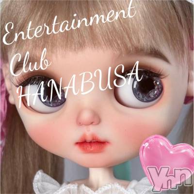 ���ܥ���Х��顦�����Entertainment Club HANA��BUSA(���󥿡��ƥ����ȥ���֡��ϥʥ֥�) ��Τ��11��30���̥�֥�����₍ᐢ⑅ • • ᐢ₎ ♡��