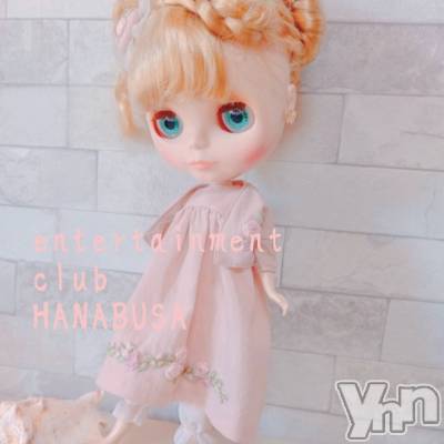 ���ܥ���Х��顦�����Entertainment Club HANA��BUSA(���󥿡��ƥ����ȥ���֡��ϥʥ֥�) ��Τ��2��23���̥�֥����� ₍ᐢ• ༝ • ᐢ₎❀��