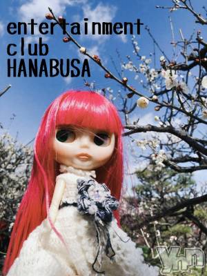 ���ܥ���Х��顦�����Entertainment Club HANA��BUSA(���󥿡��ƥ����ȥ���֡��ϥʥ֥�) ��Τ��3��1���̥�֥�����(⁠ ⁠��ᴗ⁠��)✿��