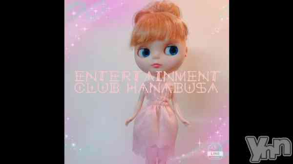 ��ʕ•ᴥ•ʔ��