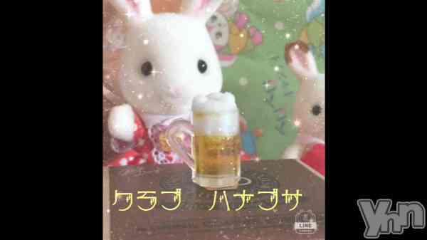 ��ʕ ꈍᴥꈍʔ��