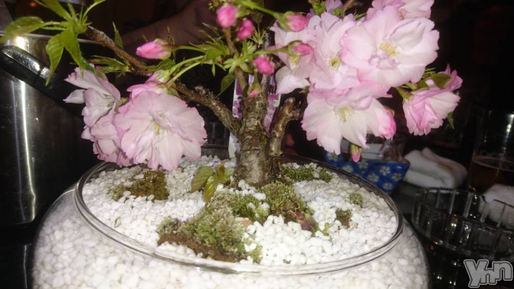 ���ܥ���Х��顦�����Entertainment Club HANA��BUSA(���󥿡��ƥ����ȥ���֡��ϥʥ֥�) ������4��6���̥�֥�����🌸��