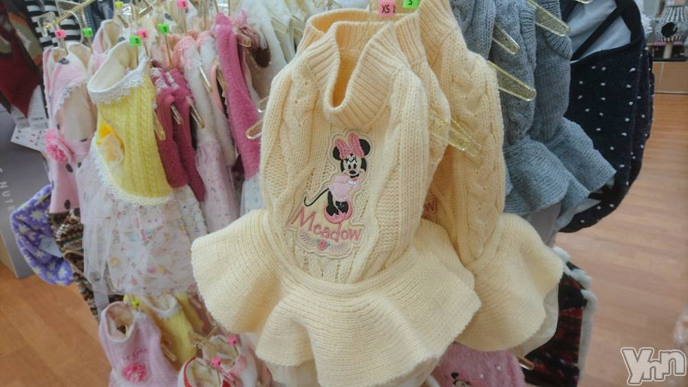 ���ܥ���Х��顦�����Entertainment Club HANA��BUSA(���󥿡��ƥ����ȥ���֡��ϥʥ֥�) ������9��26���̥�֥�����🐶��