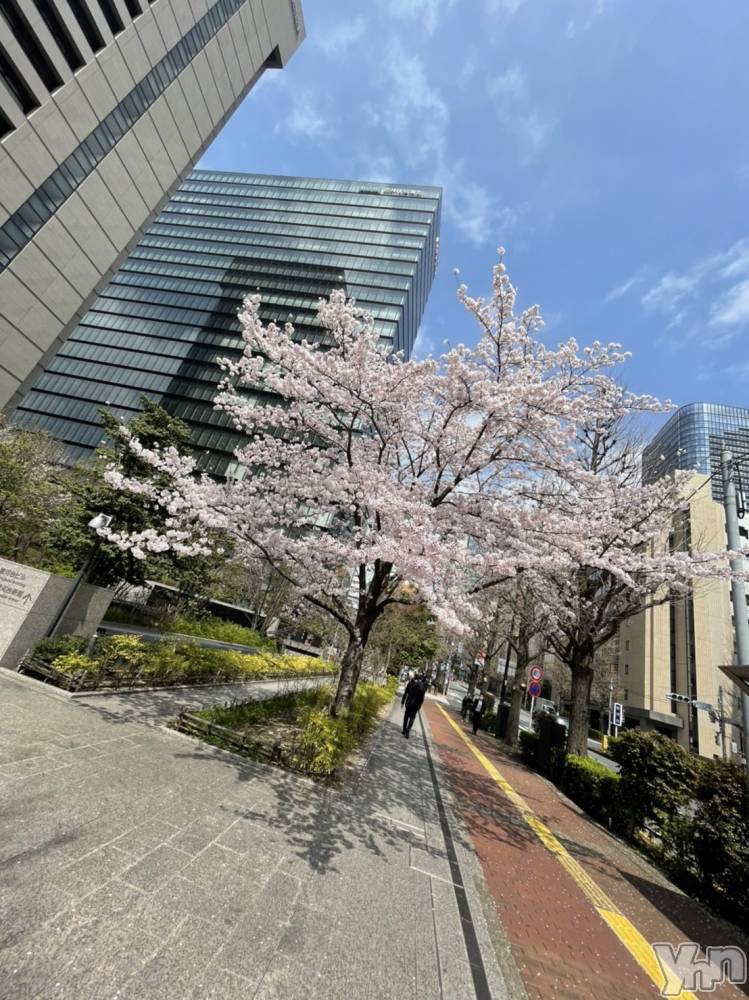 ���ܥ���Х��顦�����Entertainment Club HANA��BUSA(���󥿡��ƥ����ȥ���֡��ϥʥ֥�) ������4��1���̥�֥�����🌸��