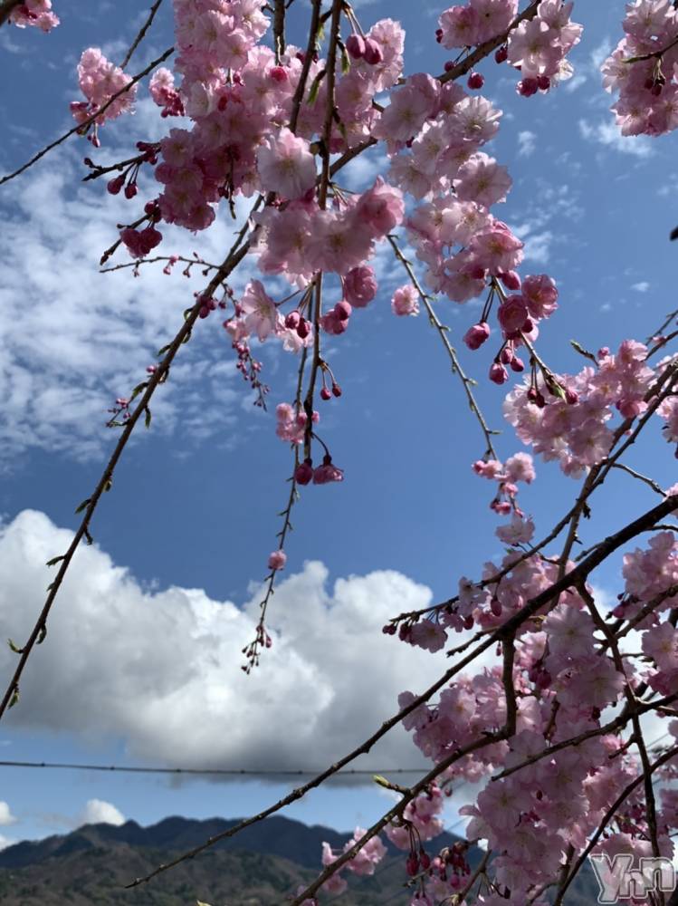 ���ܥ���Х��顦�����Entertainment Club HANA��BUSA(���󥿡��ƥ����ȥ���֡��ϥʥ֥�) ������4��14���̥�֥�����❤��