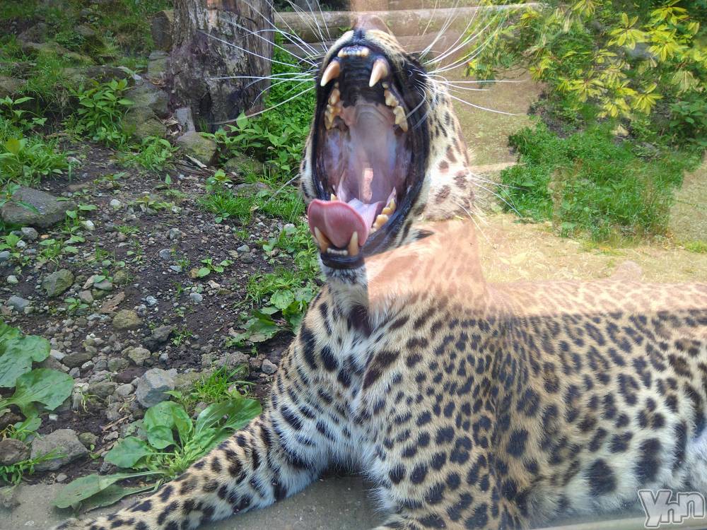 ���ܥ���Х��顦�����Entertainment Club HANA��BUSA(���󥿡��ƥ����ȥ���֡��ϥʥ֥�) ������6��16���̥�֥�����📸💥��