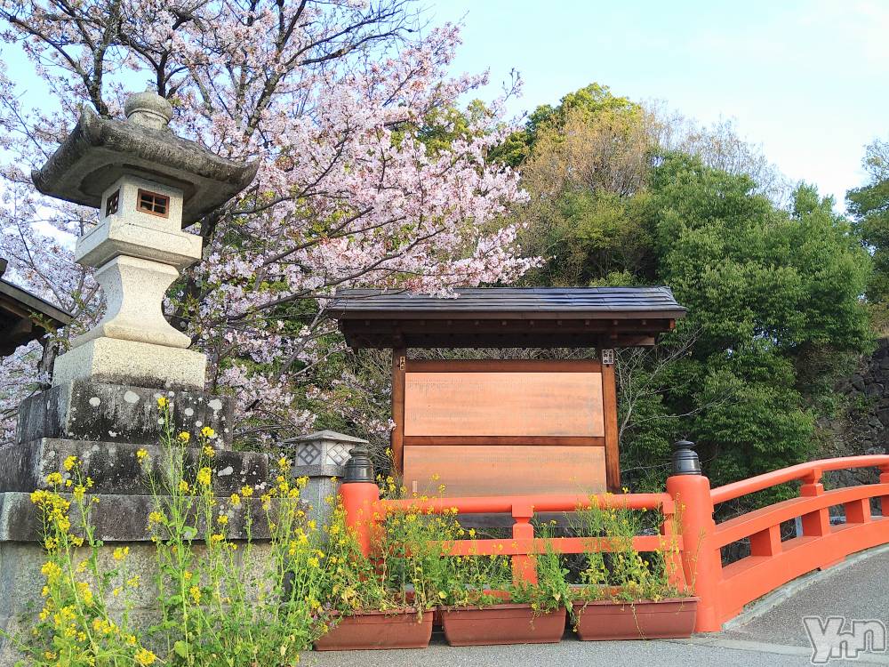 ���ܥ���Х��顦�����Entertainment Club HANA��BUSA(���󥿡��ƥ����ȥ���֡��ϥʥ֥�) ������4��12���̥�֥�����🌸��