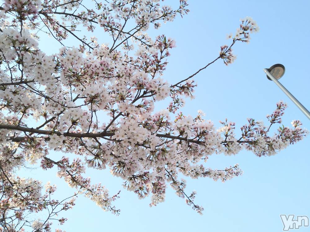 ���ܥ���Х��顦�����Entertainment Club HANA��BUSA(���󥿡��ƥ����ȥ���֡��ϥʥ֥�) ������4��15���̥�֥�����🤩��