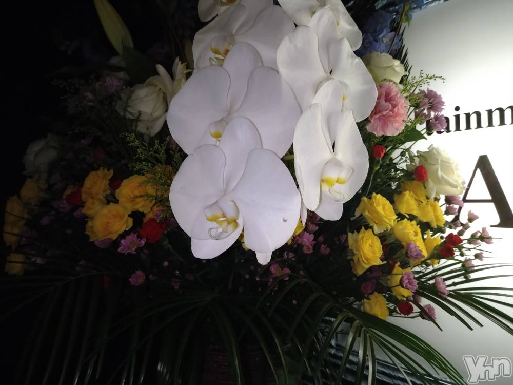 ���ܥ���Х��顦�����Entertainment Club HANA��BUSA(���󥿡��ƥ����ȥ���֡��ϥʥ֥�) ������10��8���̥�֥�����❤��