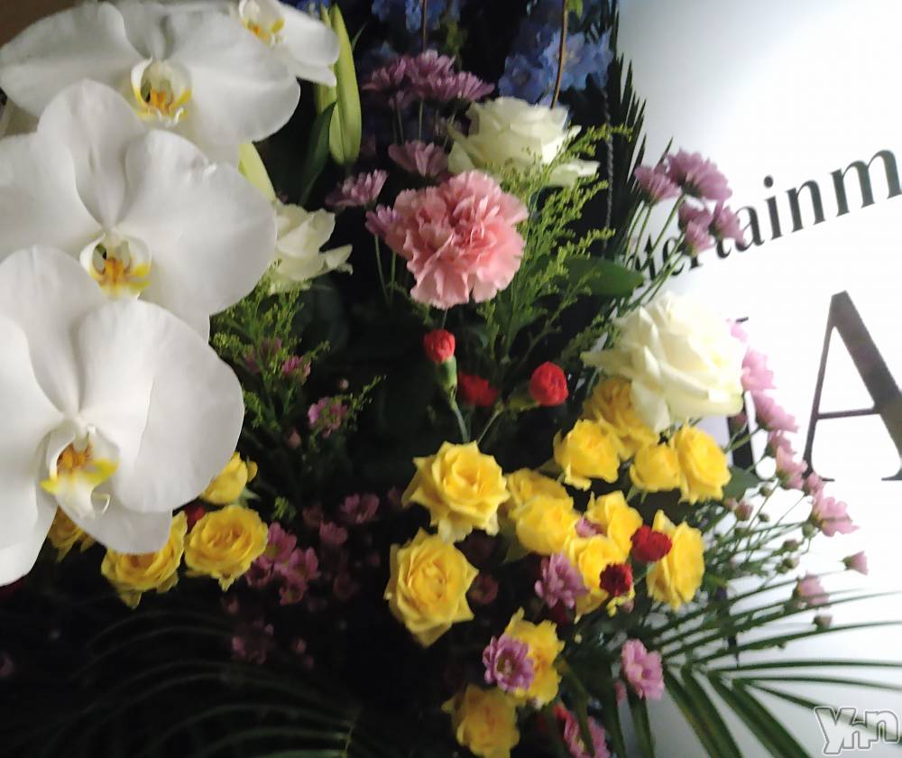 ���ܥ���Х��顦�����Entertainment Club HANA��BUSA(���󥿡��ƥ����ȥ���֡��ϥʥ֥�) ������10��9���̥�֥�����❤��