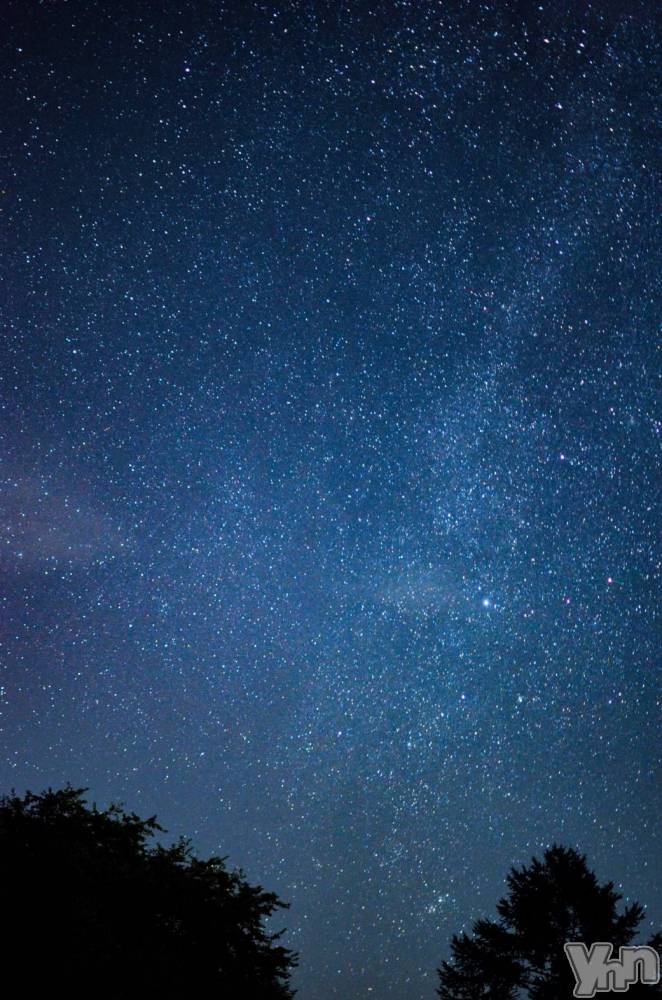 ���ܥ���Х��顦�����Entertainment Club HANA��BUSA(���󥿡��ƥ����ȥ���֡��ϥʥ֥�) ������8��13���̥�֥�����🌠��