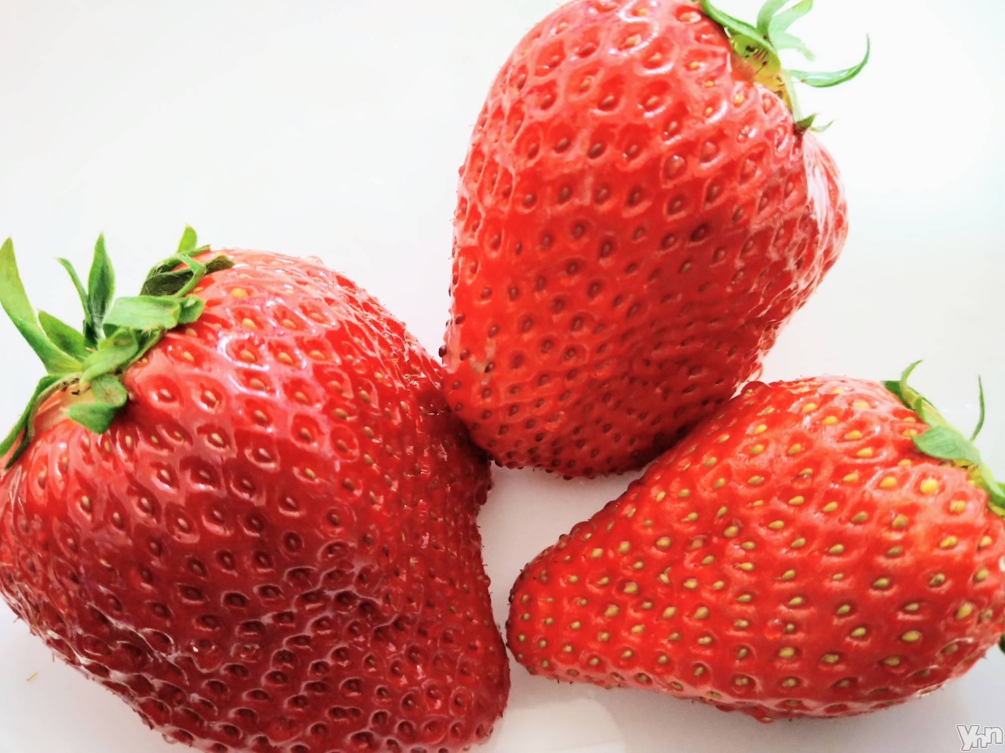 ���ܥ���Х��顦�����Entertainment Club HANA��BUSA(���󥿡��ƥ����ȥ���֡��ϥʥ֥�) ��2022ǯ2��17���̥�֥�����🍓��