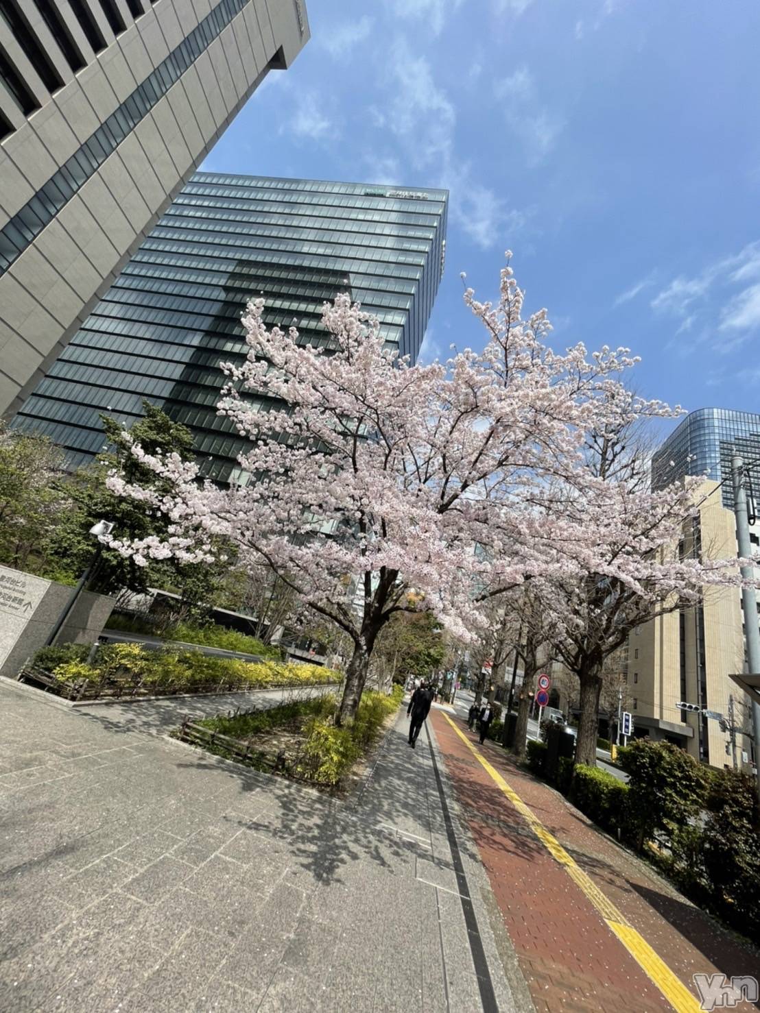 ���ܥ���Х��顦�����Entertainment Club HANA��BUSA(���󥿡��ƥ����ȥ���֡��ϥʥ֥�) ��2022ǯ4��1���̥�֥�����🌸��