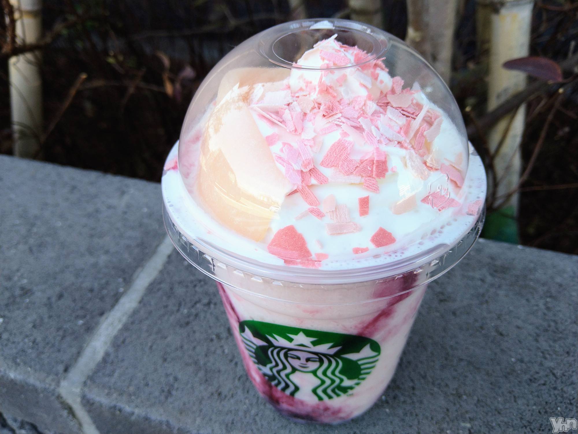 ���ܥ���Х��顦�����Entertainment Club HANA��BUSA(���󥿡��ƥ����ȥ���֡��ϥʥ֥�) ��2022ǯ4��7���̥�֥�����🌸��