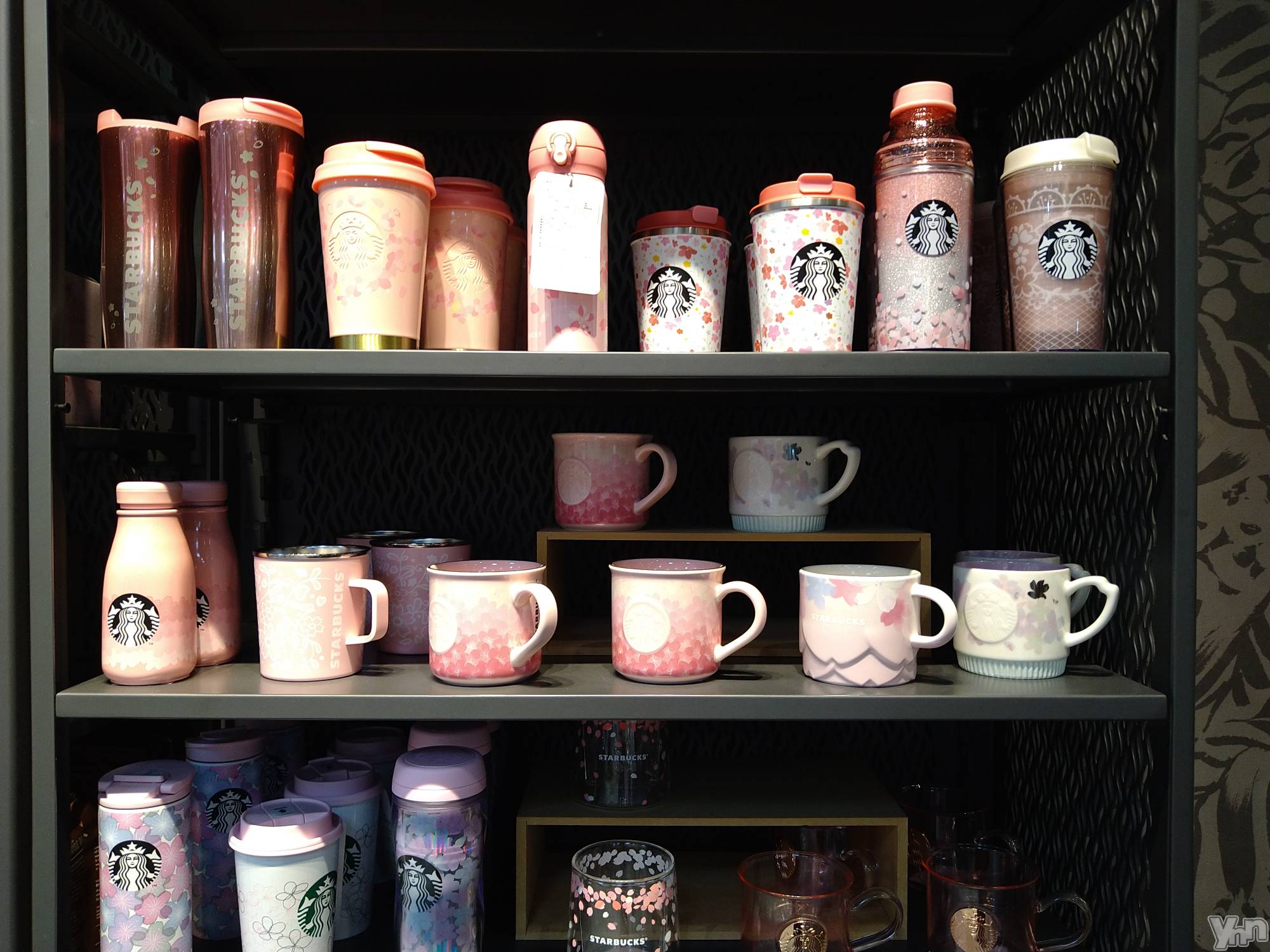 ���ܥ���Х��顦�����Entertainment Club HANA��BUSA(���󥿡��ƥ����ȥ���֡��ϥʥ֥�) ��2022ǯ4��8���̥�֥�����🌸��