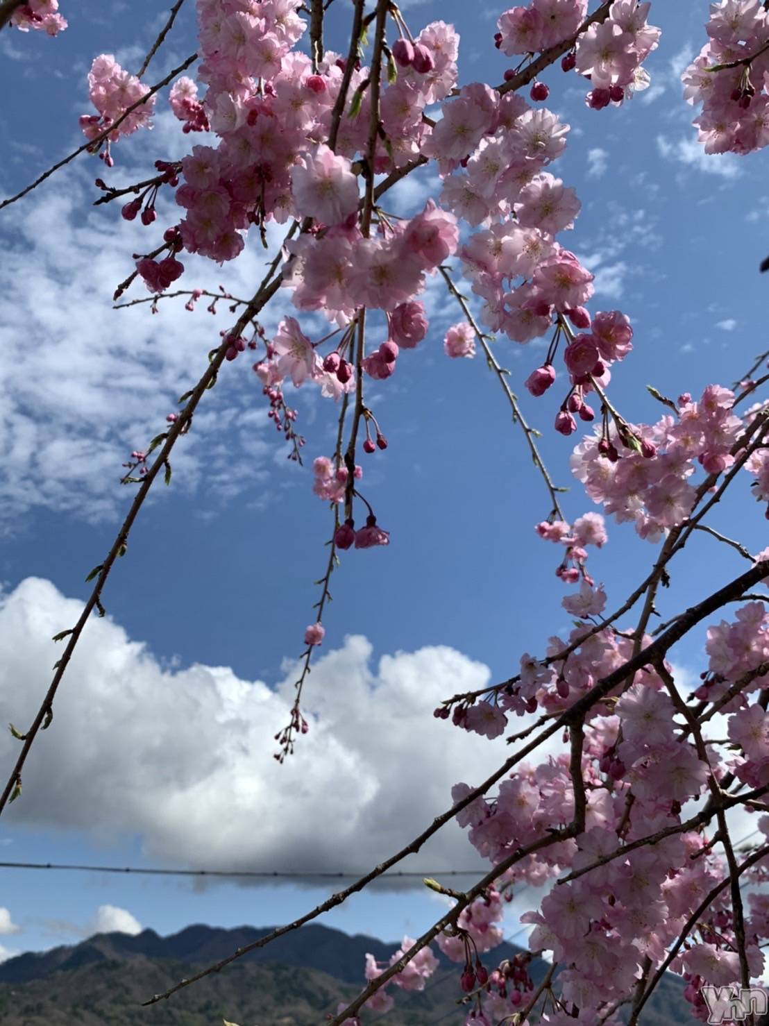 ���ܥ���Х��顦�����Entertainment Club HANA��BUSA(���󥿡��ƥ����ȥ���֡��ϥʥ֥�) ��2022ǯ4��14���̥�֥�����❤��