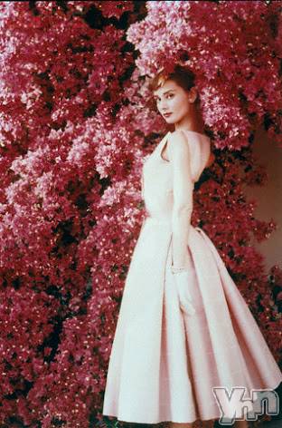 ���ܥ���Х��顦�����Entertainment Club HANA��BUSA(���󥿡��ƥ����ȥ���֡��ϥʥ֥�) ��2022ǯ4��16���̥�֥�����AUDREY��