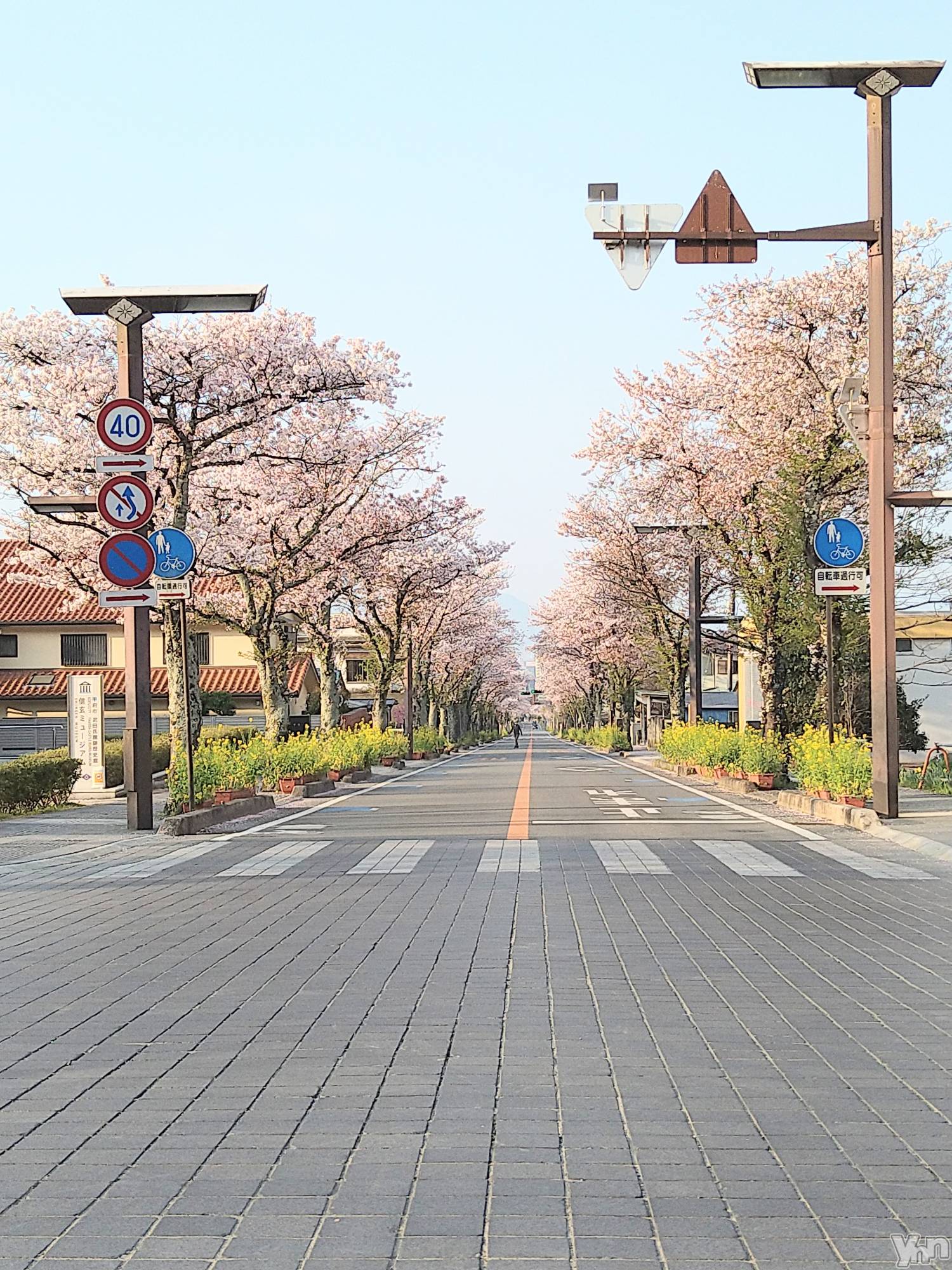 ���ܥ���Х��顦�����Entertainment Club HANA��BUSA(���󥿡��ƥ����ȥ���֡��ϥʥ֥�) ��2023ǯ4��5���̥�֥�����🌸��