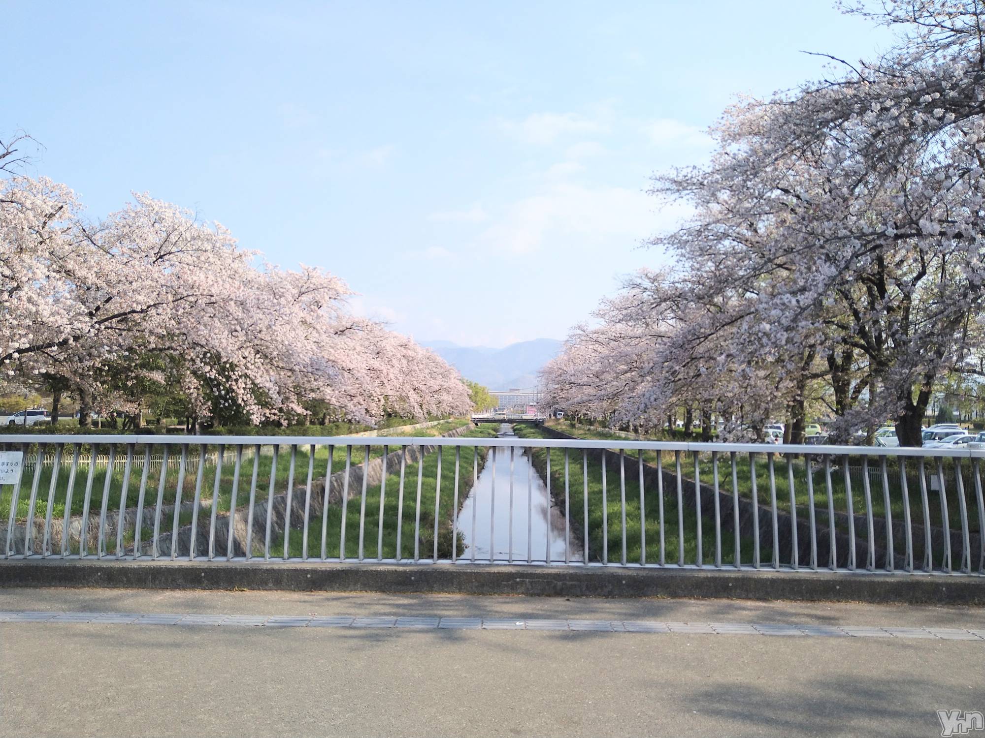 ���ܥ���Х��顦�����Entertainment Club HANA��BUSA(���󥿡��ƥ����ȥ���֡��ϥʥ֥�) ��2023ǯ4��7���̥�֥�����🌸��