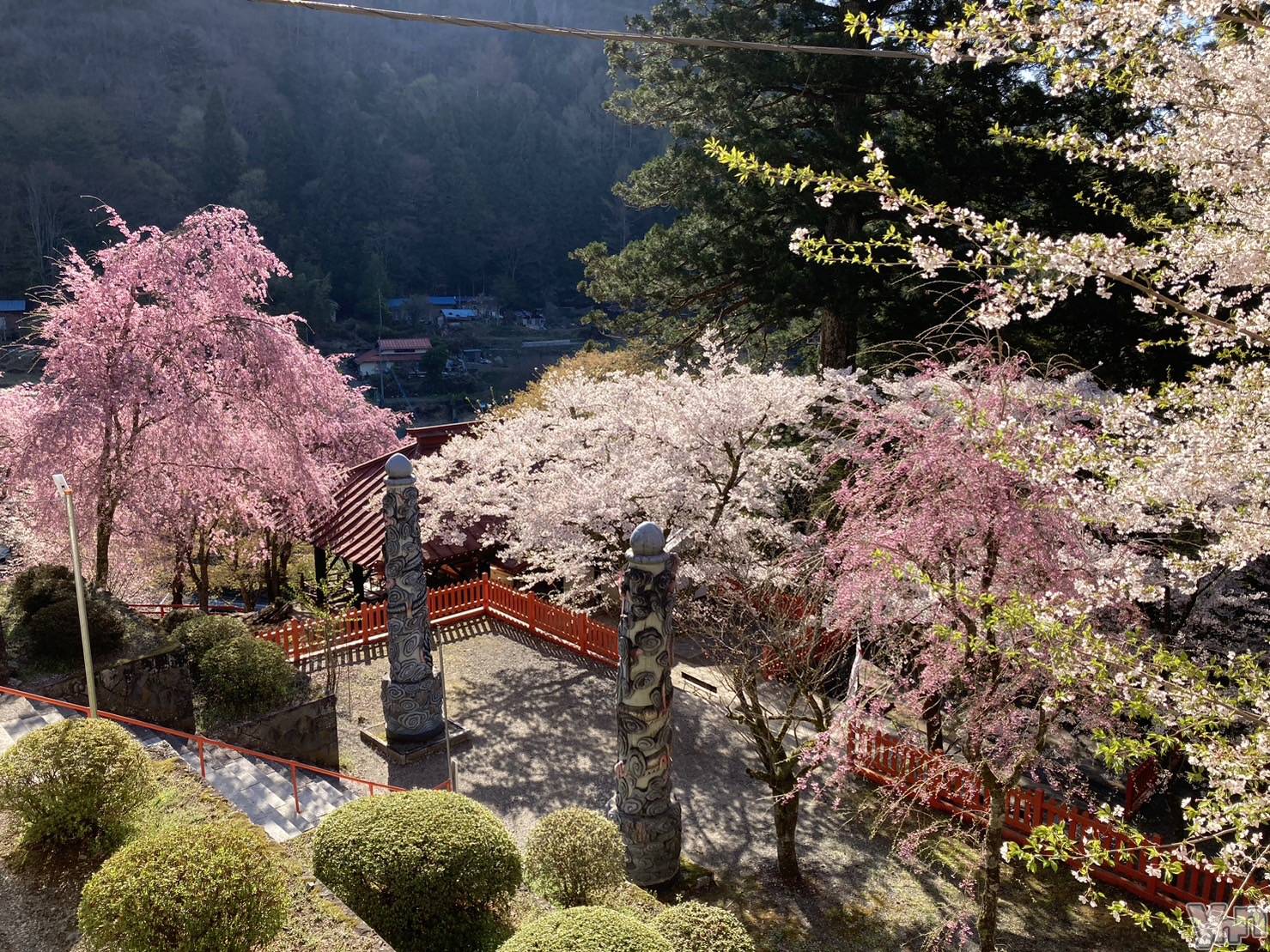 ���ܥ���Х��顦�����Entertainment Club HANA��BUSA(���󥿡��ƥ����ȥ���֡��ϥʥ֥�) ��2023ǯ4��20���̥�֥�����🌸��