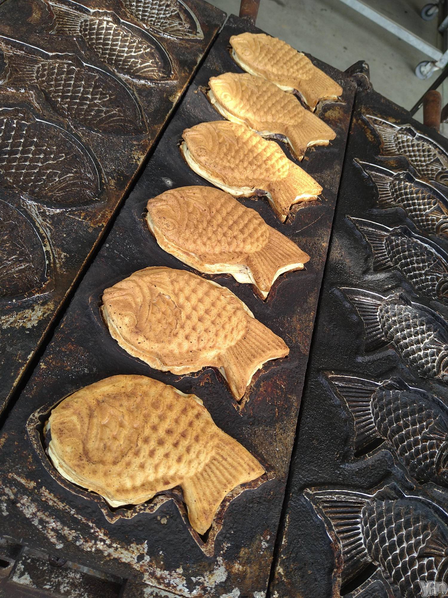 ���ܥ���Х��顦�����Entertainment Club HANA��BUSA(���󥿡��ƥ����ȥ���֡��ϥʥ֥�) ��2023ǯ4��21���̥�֥�����🤤��