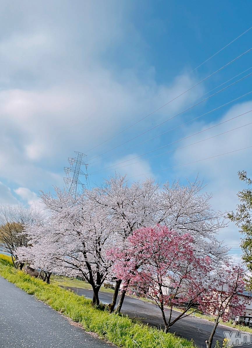 ���ܥ���Х��顦�����Entertainment Club HANA��BUSA(���󥿡��ƥ����ȥ���֡��ϥʥ֥�) ��2023ǯ4��26���̥�֥�����🌸��